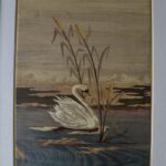 Swan