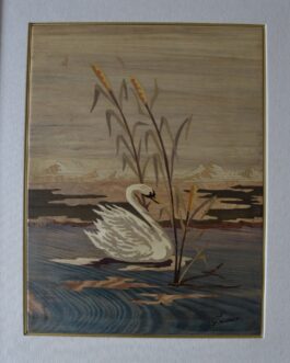 Swan